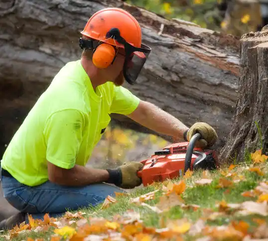 tree services Wesson